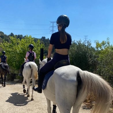 Rutas por el bosque a caballo